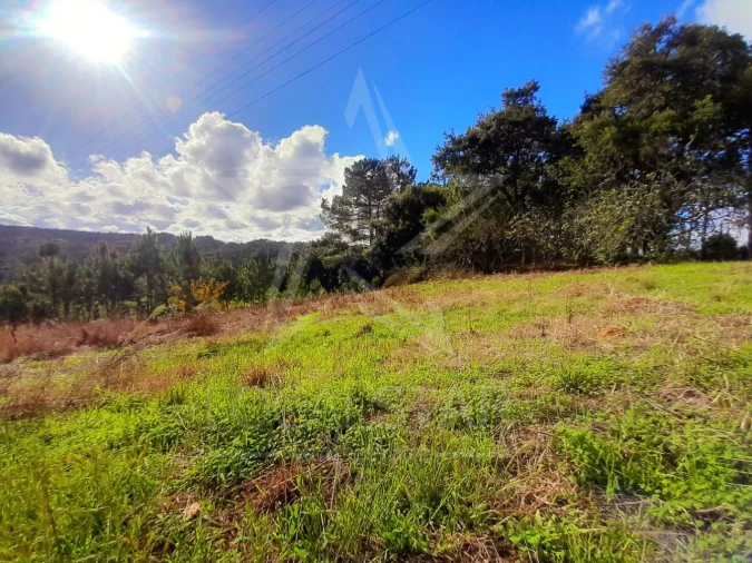 Terreno Misto para Venda em A dos Negros Foto 9