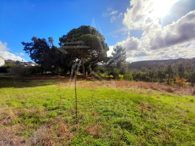 Terreno Misto para Venda em A dos Negros Foto 3