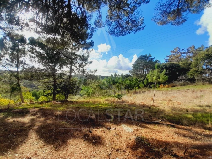 Terreno Misto para Venda em A dos Negros Foto 15