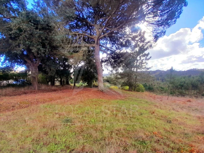 Terreno Misto para Venda em A dos Negros Foto 19