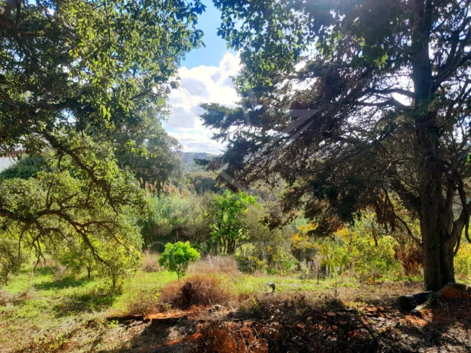 Terreno Misto para Venda em A dos Negros Foto 14