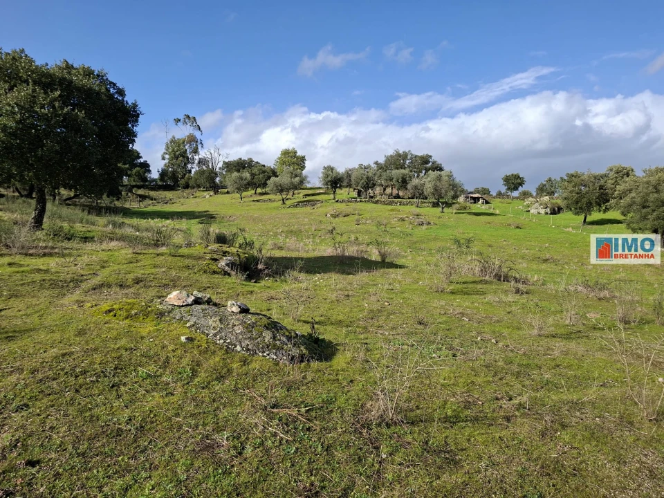 Moradia T2 para Venda em São Miguel de Acha Foto 22