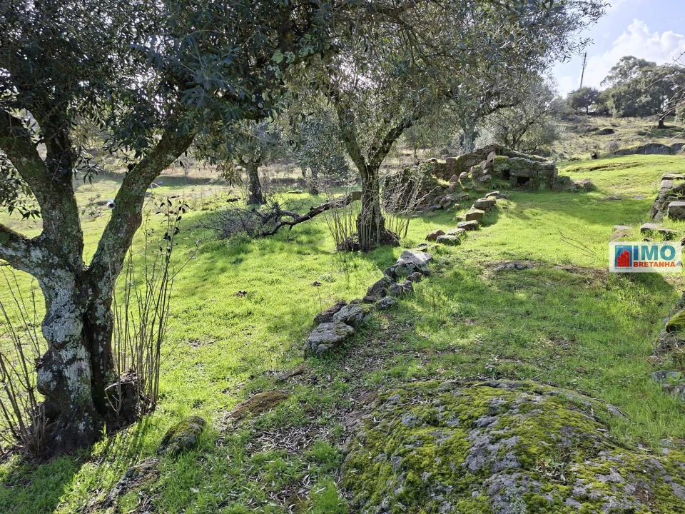 Moradia T2 para Venda em São Miguel de Acha Foto 12