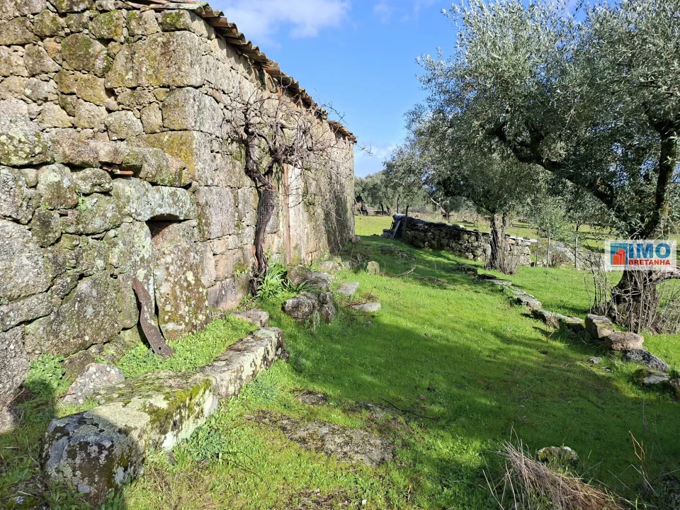 Moradia T2 para Venda em São Miguel de Acha Foto 2