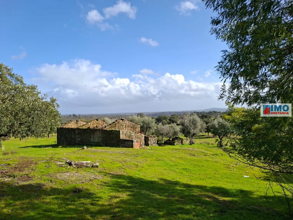 Moradia T2 para Venda em São Miguel de Acha Foto 1
