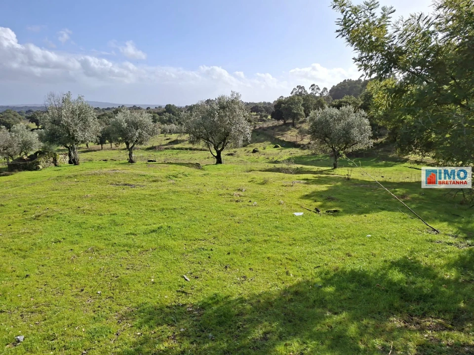 Moradia T2 para Venda em São Miguel de Acha Foto 8