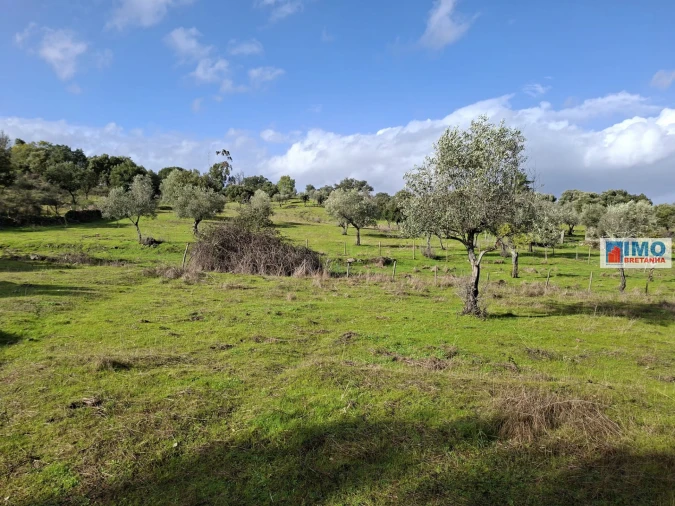 Moradia T2 para Venda em São Miguel de Acha Foto 19