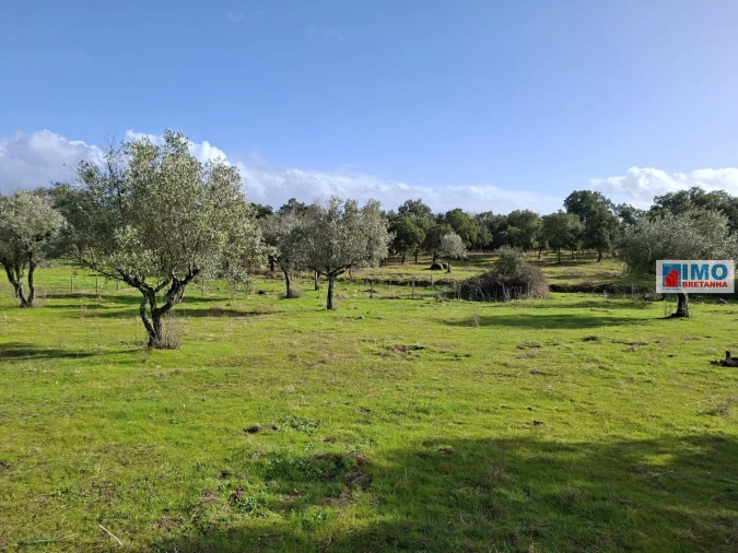 Moradia T2 para Venda em São Miguel de Acha Foto 21