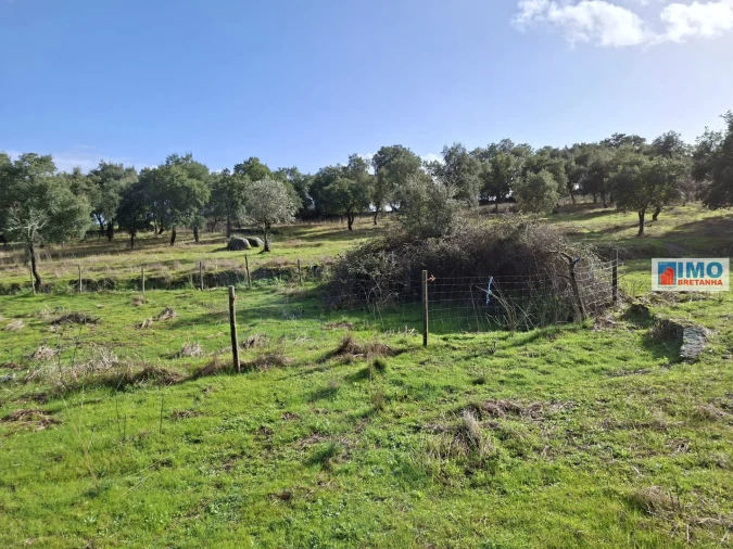 Moradia T2 para Venda em São Miguel de Acha Foto 20