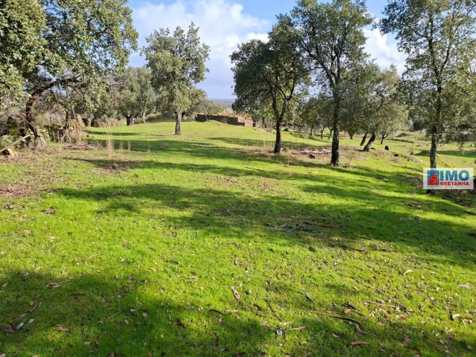 Moradia T2 para Venda em São Miguel de Acha Foto 5