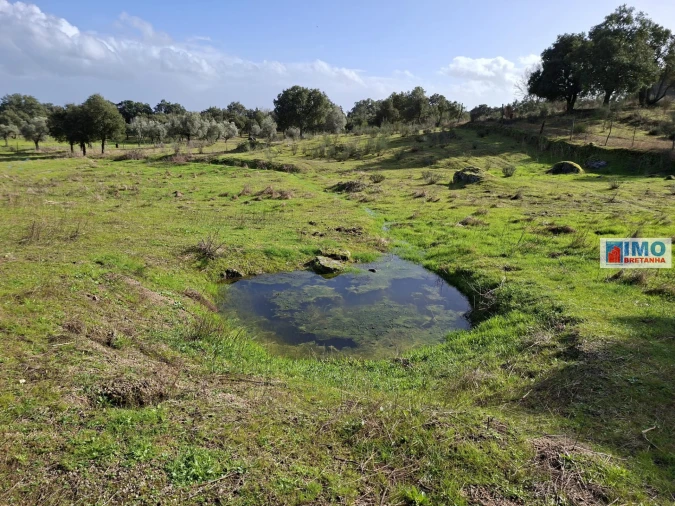 Moradia T2 para Venda em São Miguel de Acha Foto 11