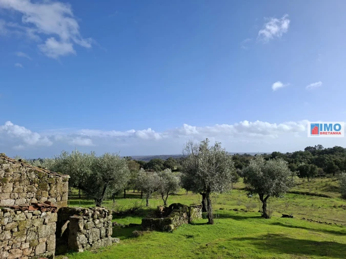 Moradia T2 para Venda em São Miguel de Acha Foto 15