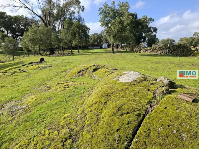 Moradia T2 para Venda em São Miguel de Acha Foto 13