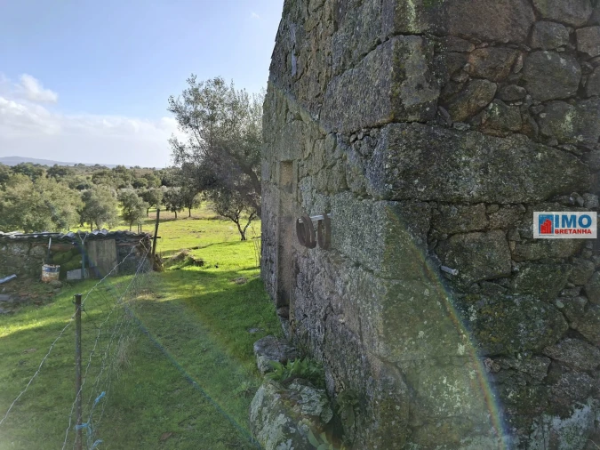 Moradia T2 para Venda em São Miguel de Acha Foto 4