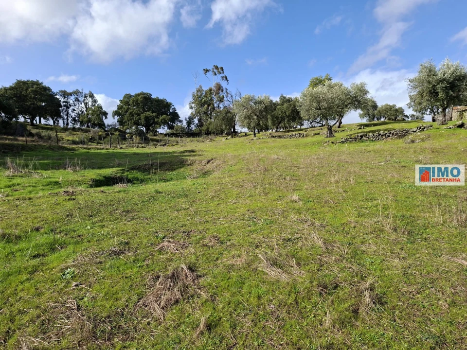 Moradia T2 para Venda em São Miguel de Acha Foto 16