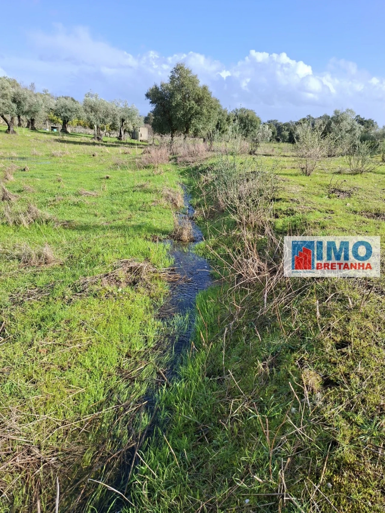 Moradia T2 para Venda em São Miguel de Acha Foto 9