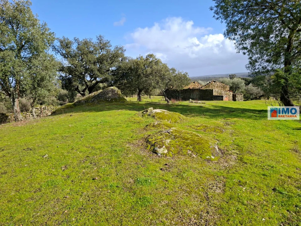 Moradia T2 para Venda em São Miguel de Acha Foto 7