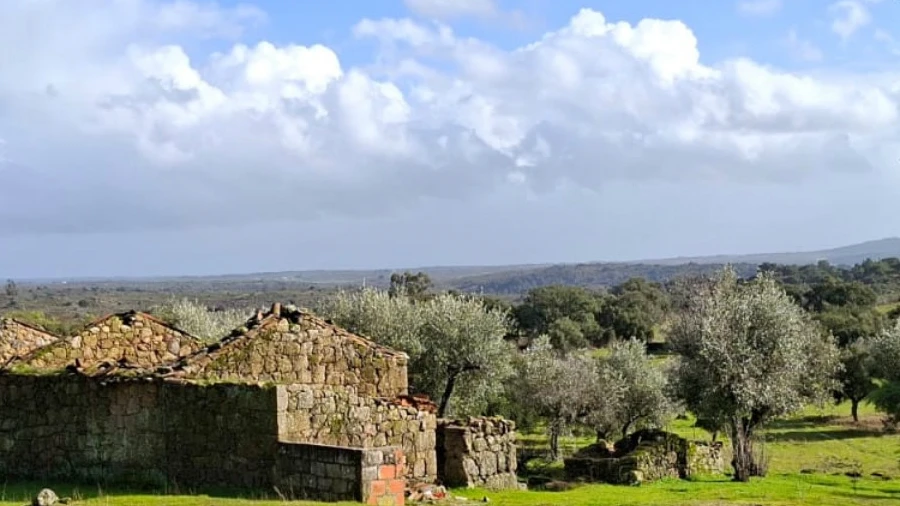 Moradia T2 para Venda em São Miguel de Acha