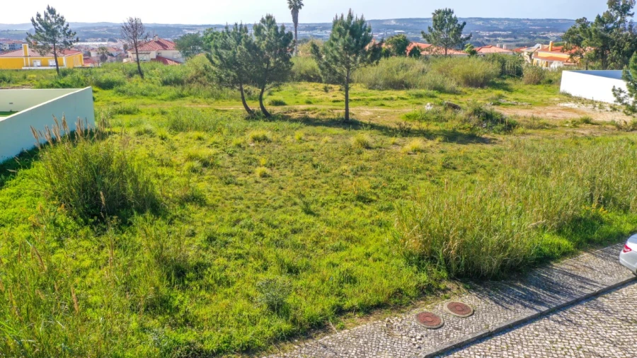 Terreno para Venda em Nossa Senhora do Pópulo, Coto e São Gregório Foto 2