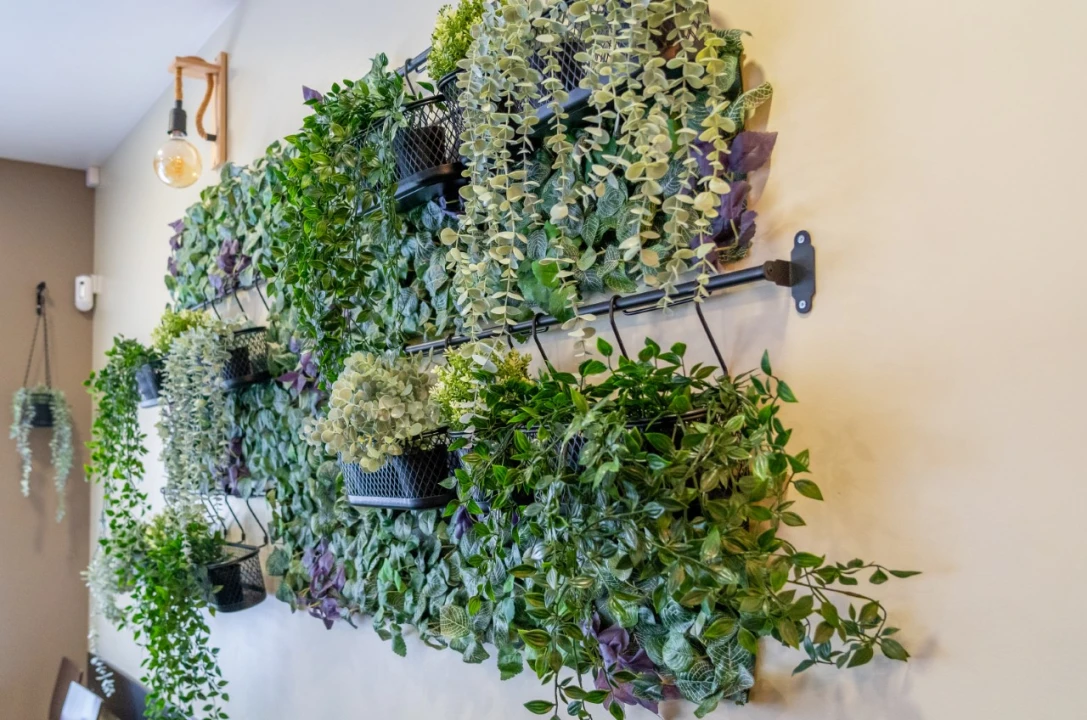 Negócio para Arrendamento em Nazare Foto 15