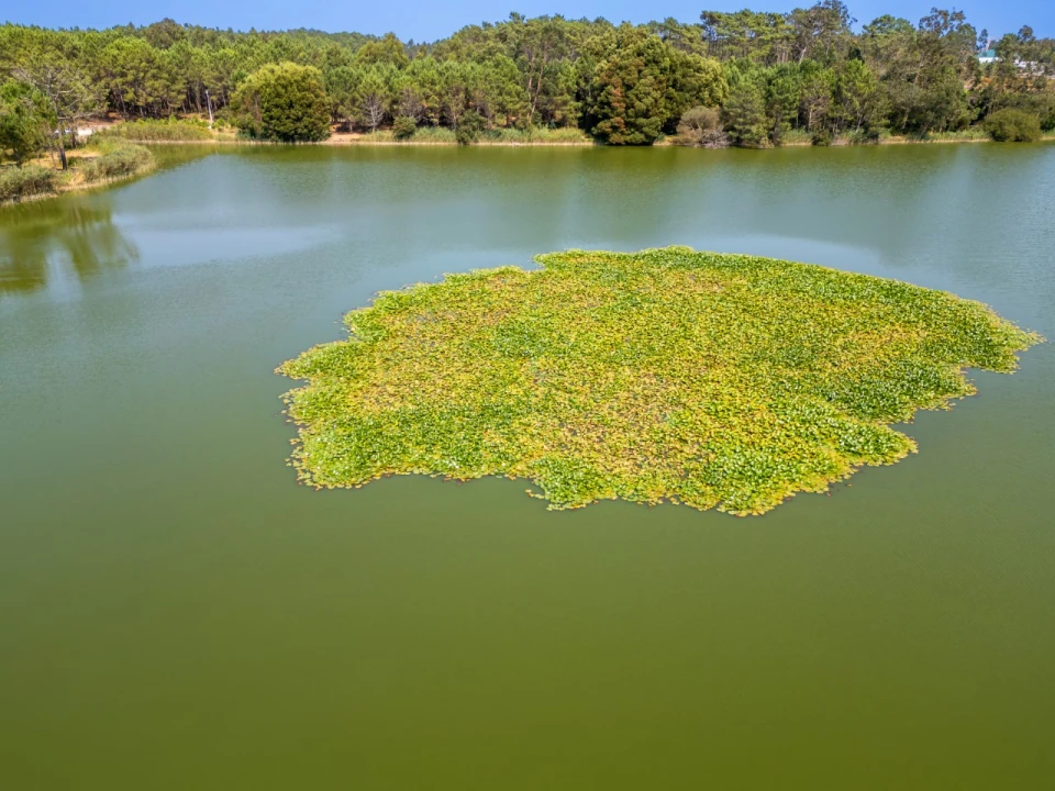 Moradia T4 para Venda em Pataias e Martingança Foto 42