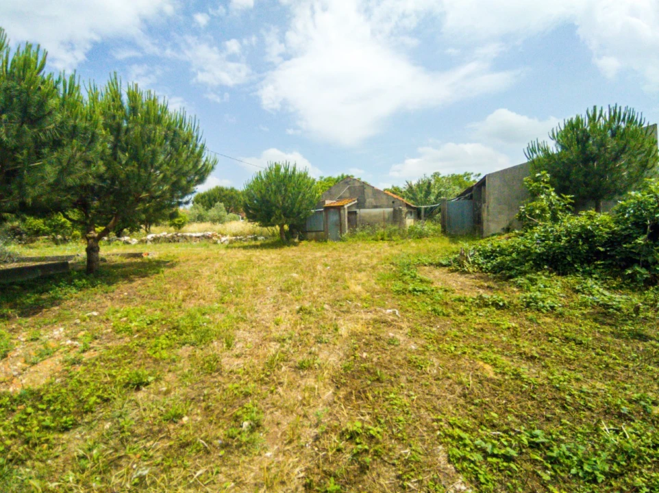 Quinta para Venda em Aljubarrota Foto 13