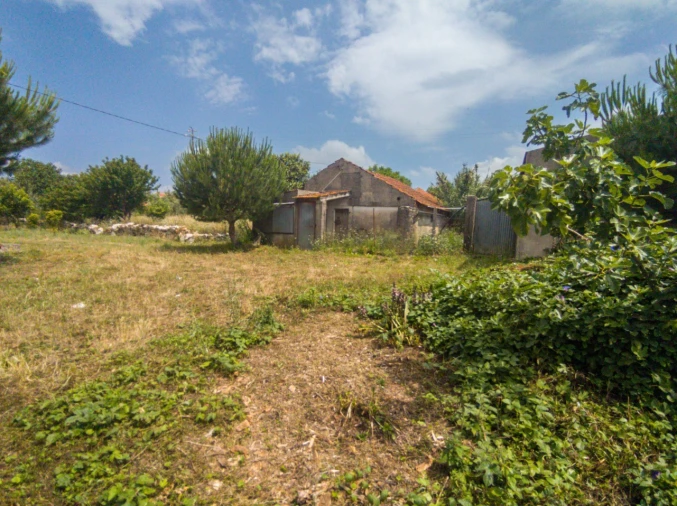 Quinta para Venda em Aljubarrota Foto 7