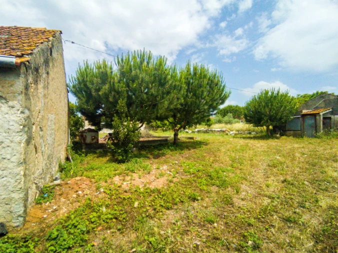 Quinta para Venda em Aljubarrota Foto 14