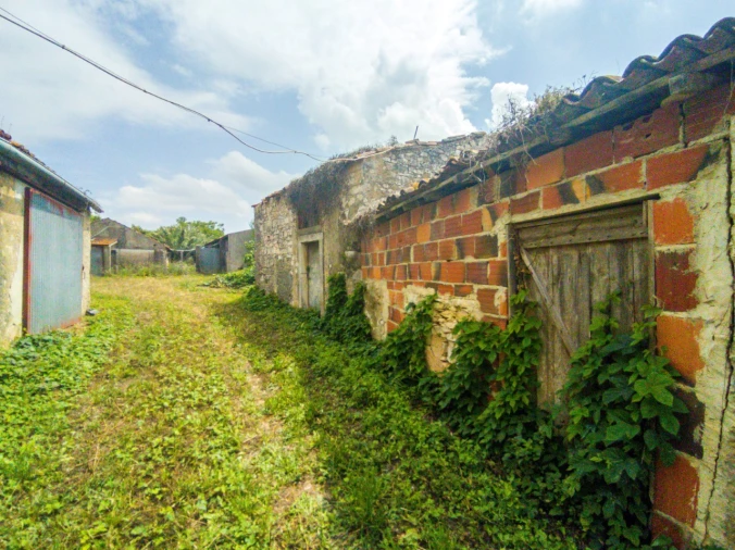 Quinta para Venda em Aljubarrota Foto 15