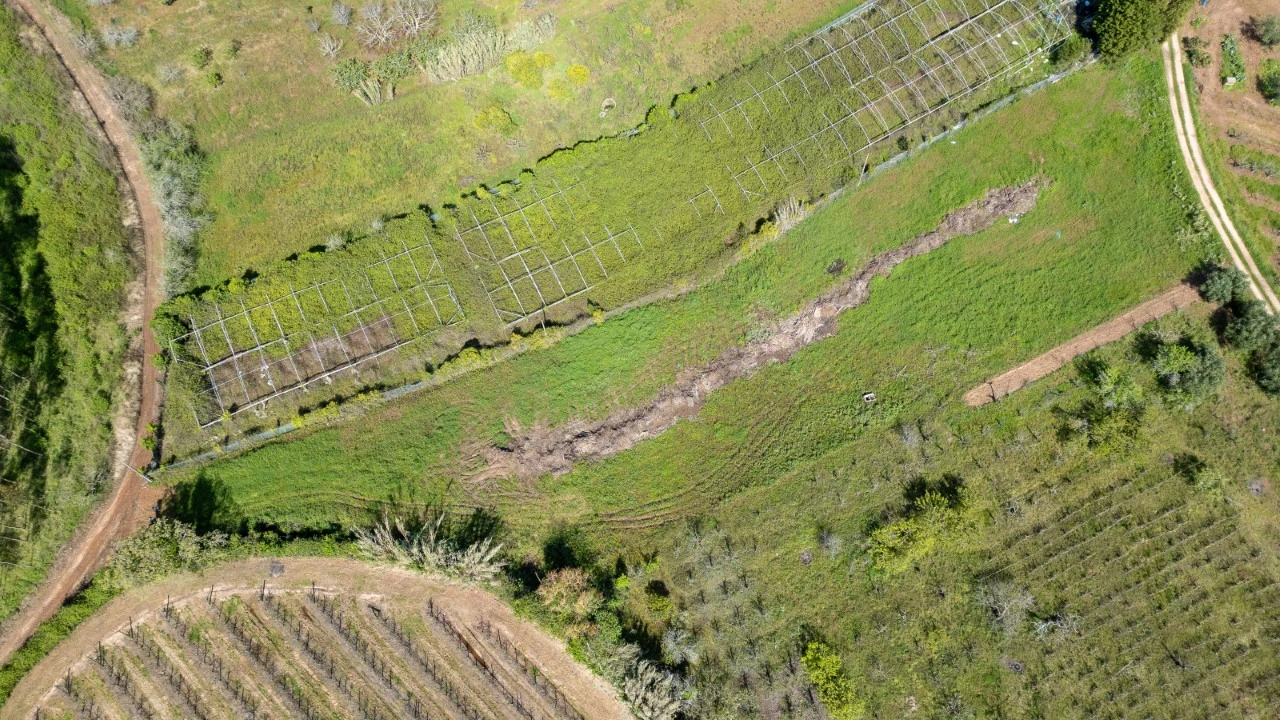 Terreno Agricola ou Rústico para Venda em Evora de Alcobaça Foto 9