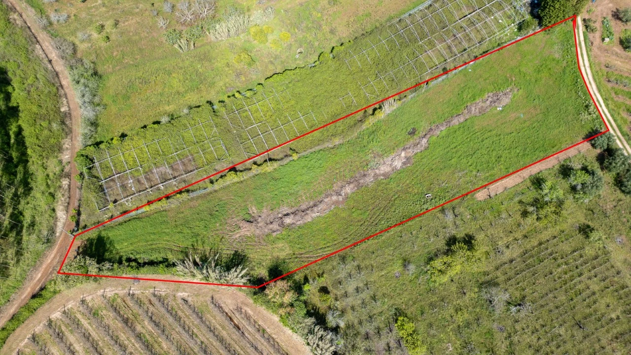 Terreno Agricola ou Rústico para Venda em Evora de Alcobaça Foto 2