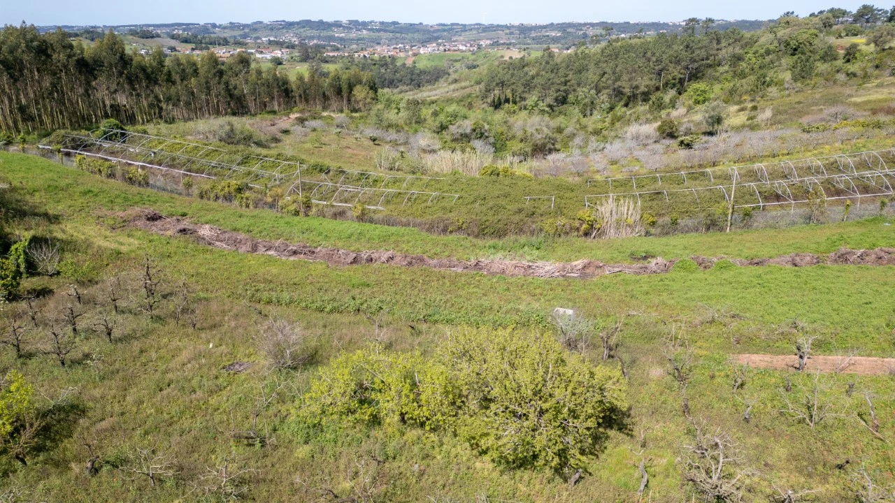 Terreno Agricola ou Rústico para Venda em Evora de Alcobaça Foto 10