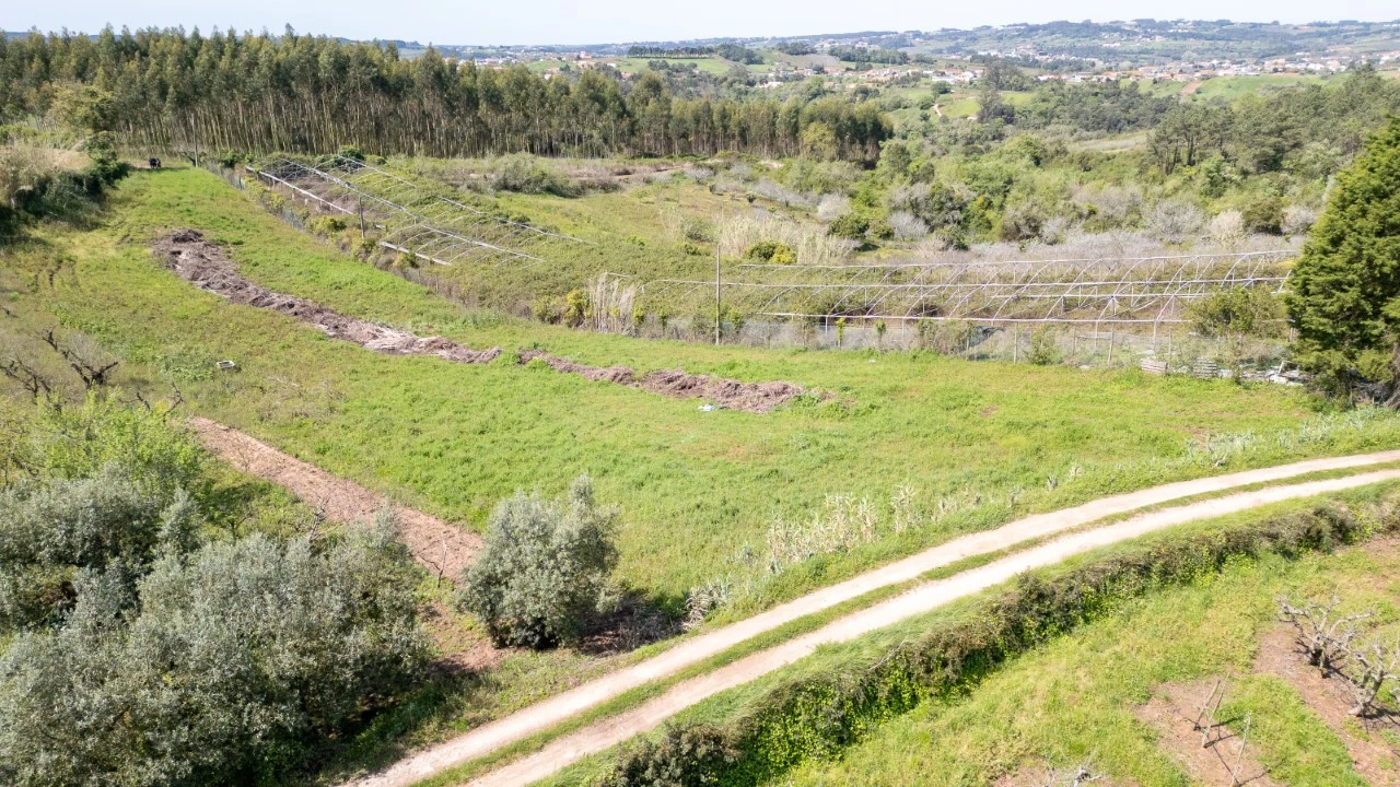 Terreno Agricola ou Rústico para Venda em Evora de Alcobaça Foto 11