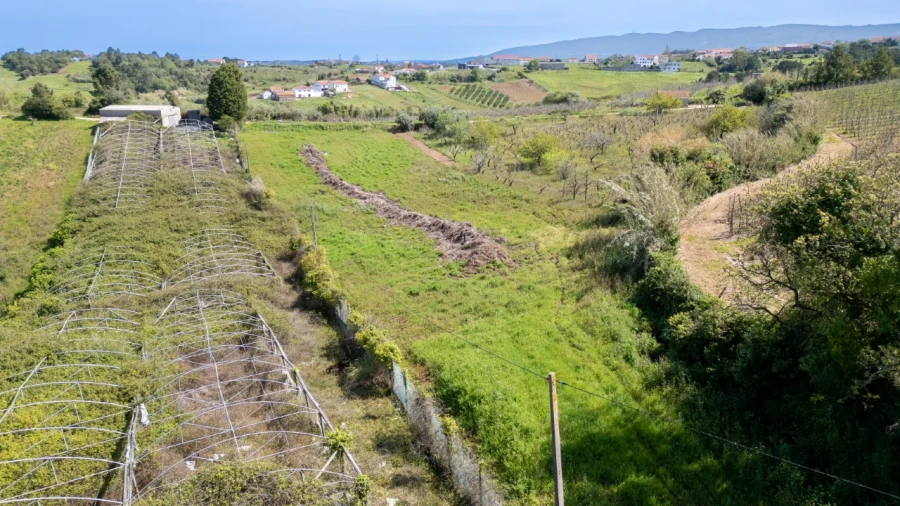 Terreno Agricola ou Rústico para Venda em Evora de Alcobaça Foto 5