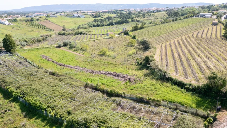 Terreno Agricola ou Rústico para Venda em Evora de Alcobaça Foto 7