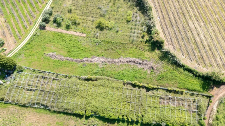 Terreno Agricola ou Rústico para Venda em Evora de Alcobaça Foto 8