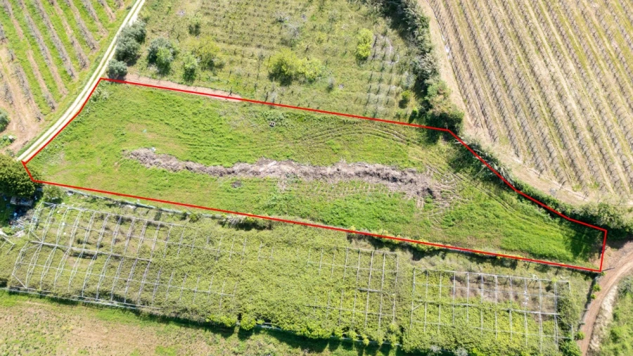 Terreno Agricola ou Rústico para Venda em Evora de Alcobaça