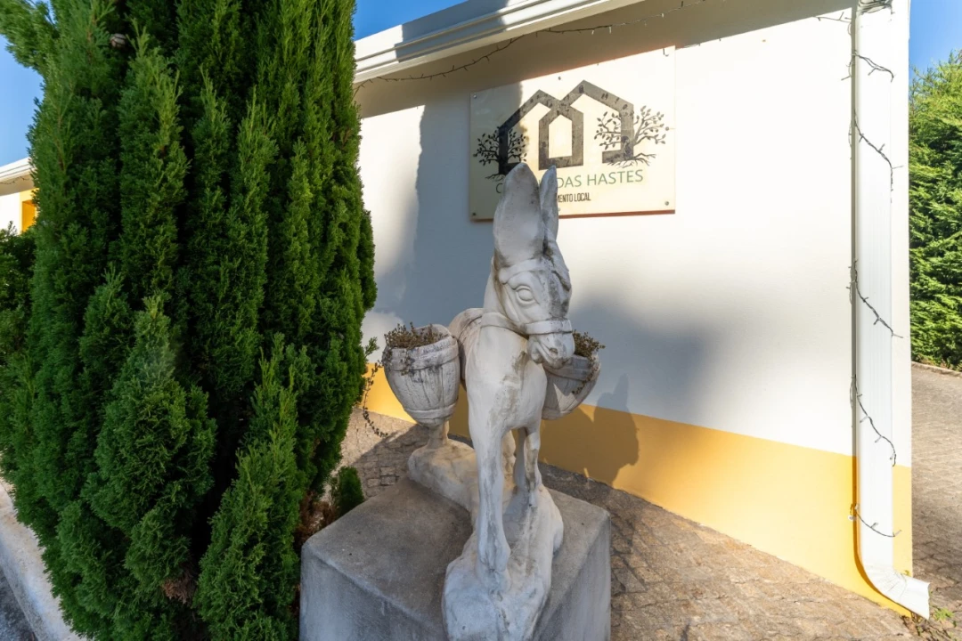 Moradia T6 para Venda em Alfeizerão Foto 50