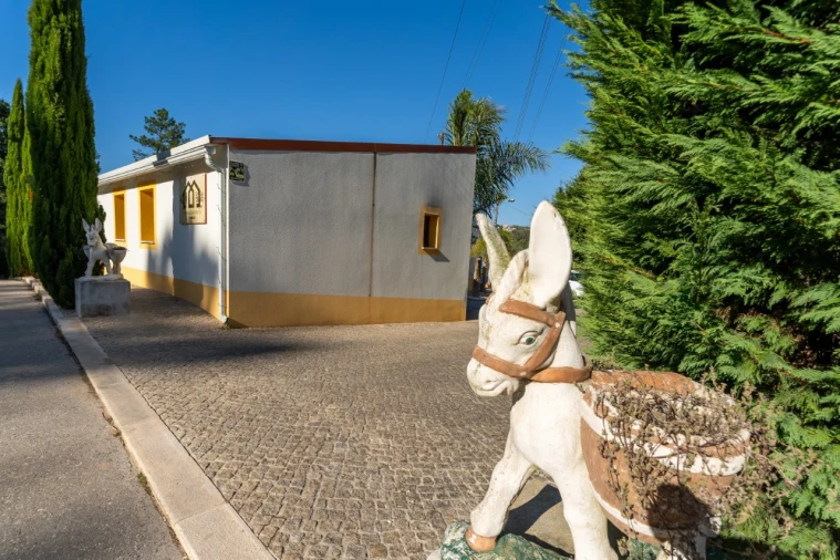 Moradia T6 para Venda em Alfeizerão Foto 49