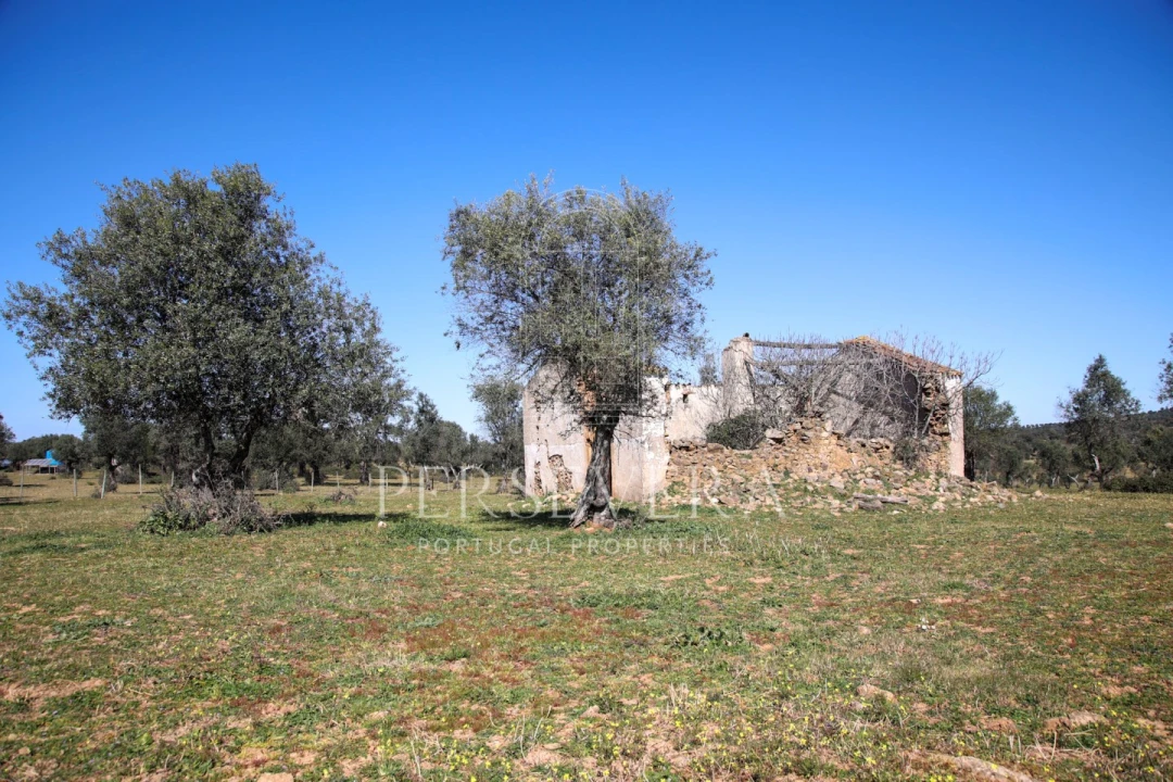 Quinta para Venda em Alter do Chão Foto 7