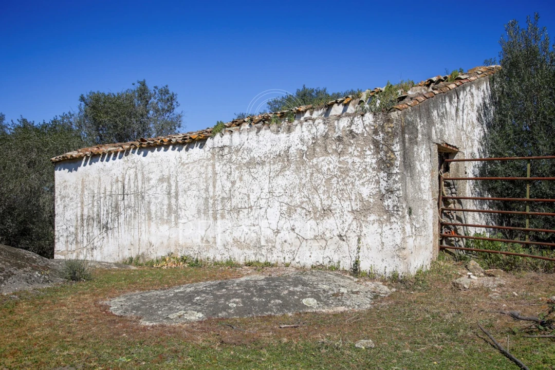 Quinta para Venda em Alter do Chão Foto 20