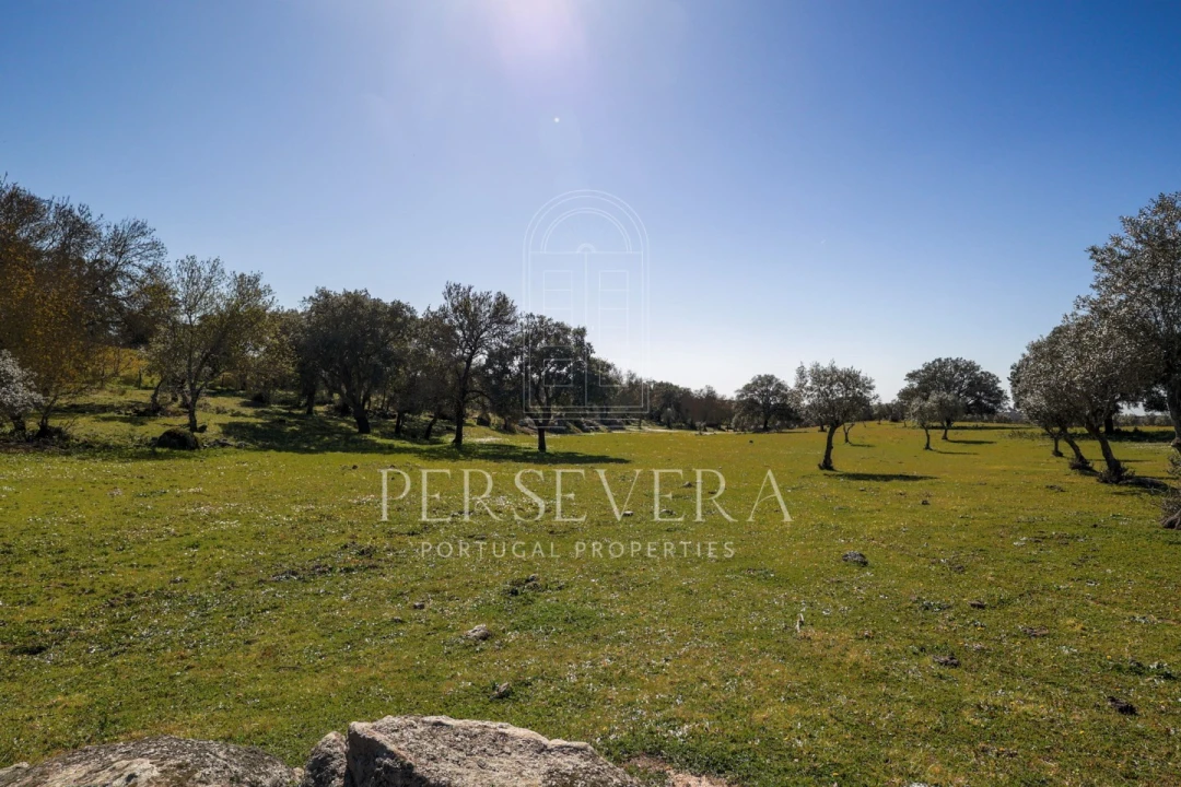 Quinta para Venda em Alter do Chão Foto 2