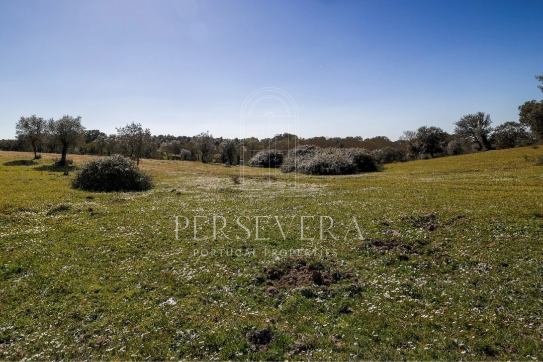 Quinta para Venda em Alter do Chão Foto 41