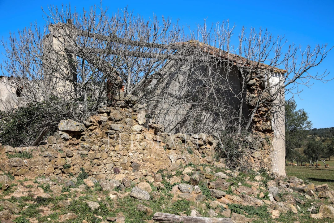 Quinta para Venda em Alter do Chão Foto 53