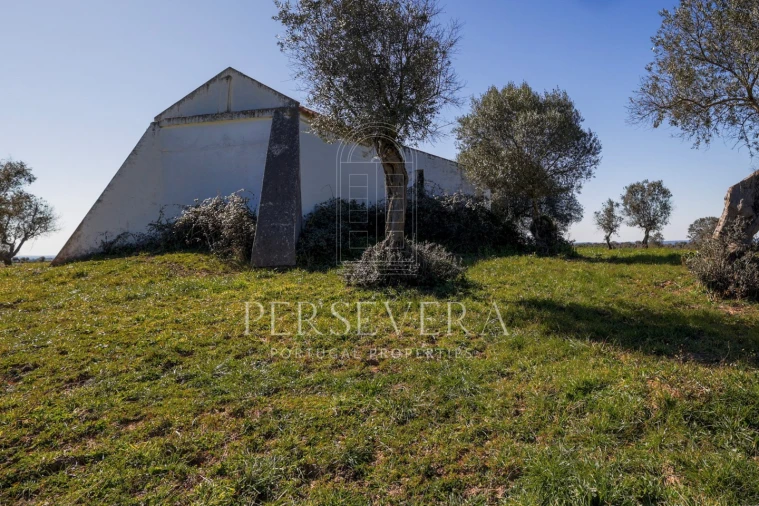 Quinta para Venda em Alter do Chão Foto 11