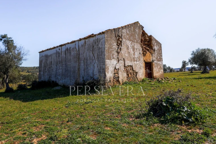 Quinta para Venda em Alter do Chão Foto 14