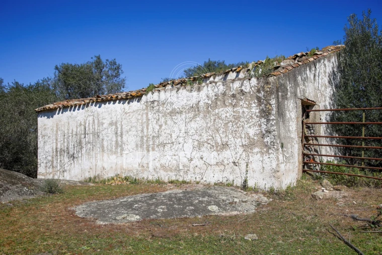 Quinta para Venda em Alter do Chão Foto 20