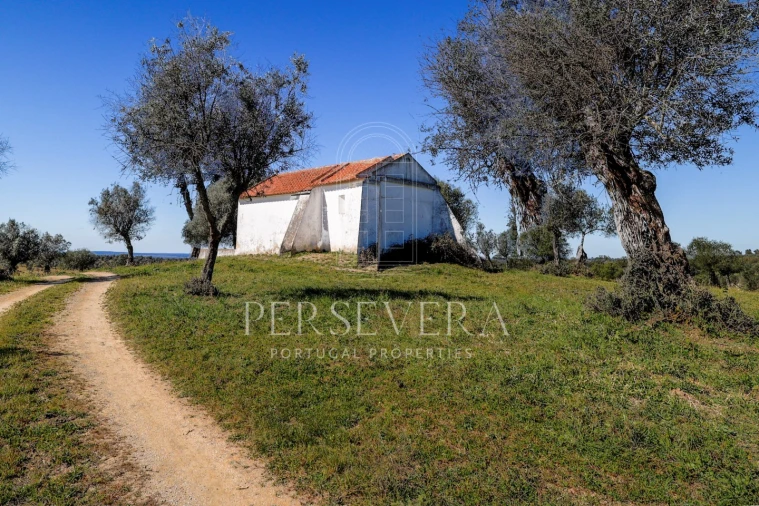 Quinta para Venda em Alter do Chão Foto 21
