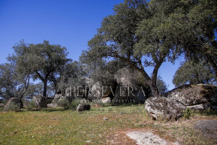 Quinta para Venda em Alter do Chão Foto 34