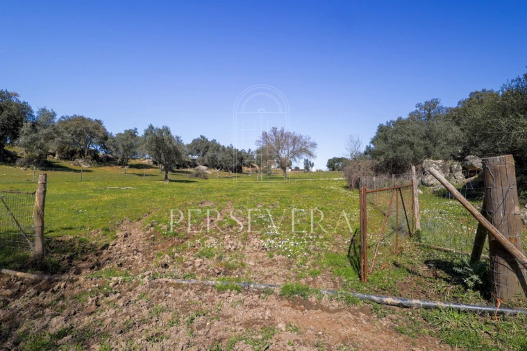 Quinta para Venda em Alter do Chão Foto 35